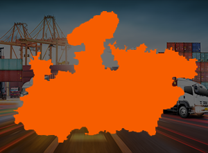 Packers and Movers M.P